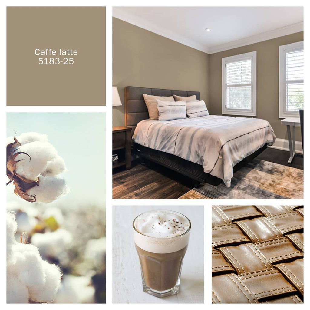 Boomerang Recycled Paint Cafe Latte – Kingston Paint Decorating