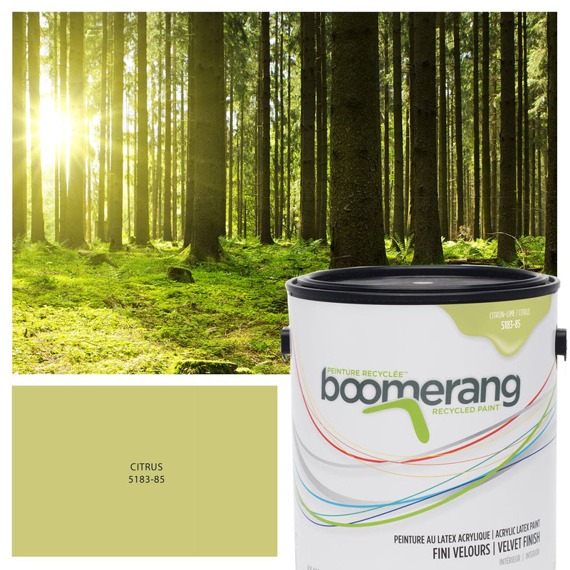 Boomerang Recycled Paint Citrus