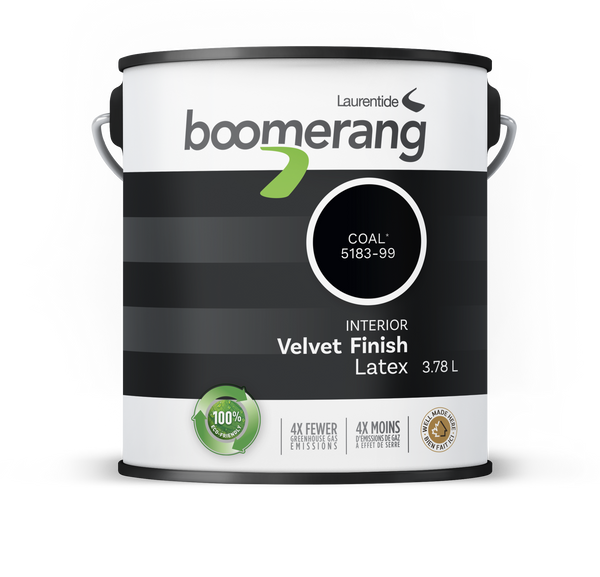 Boomerang Recycled Paint Coal