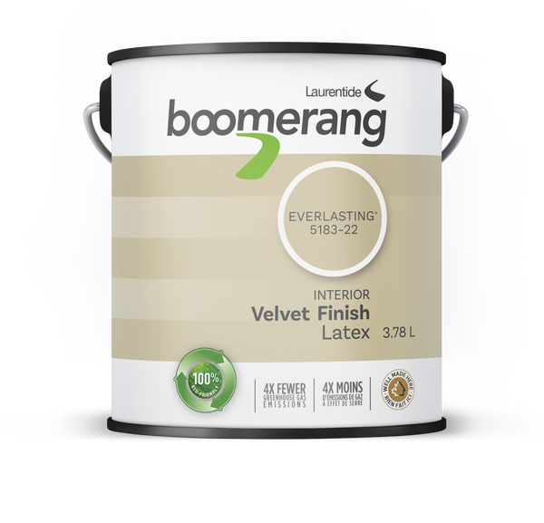 Boomerang Recycled Paint Everlasting
