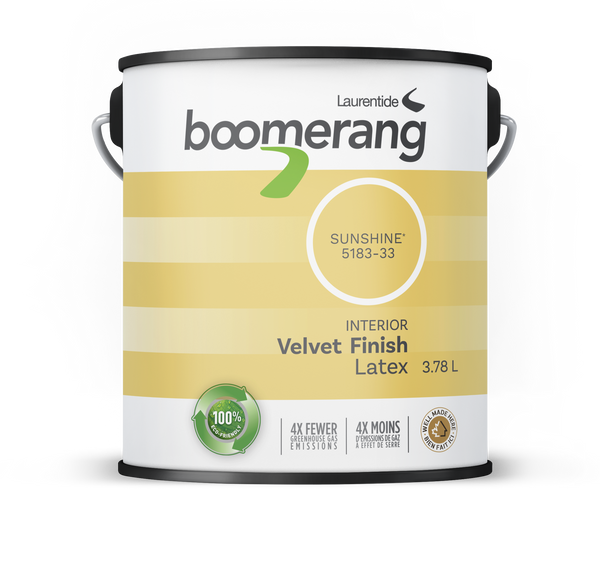 Boomerang Recycled Paint